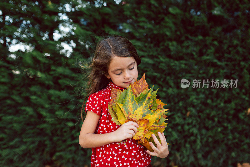 欢快的女孩拿着一束干枫叶在公园里玩耍