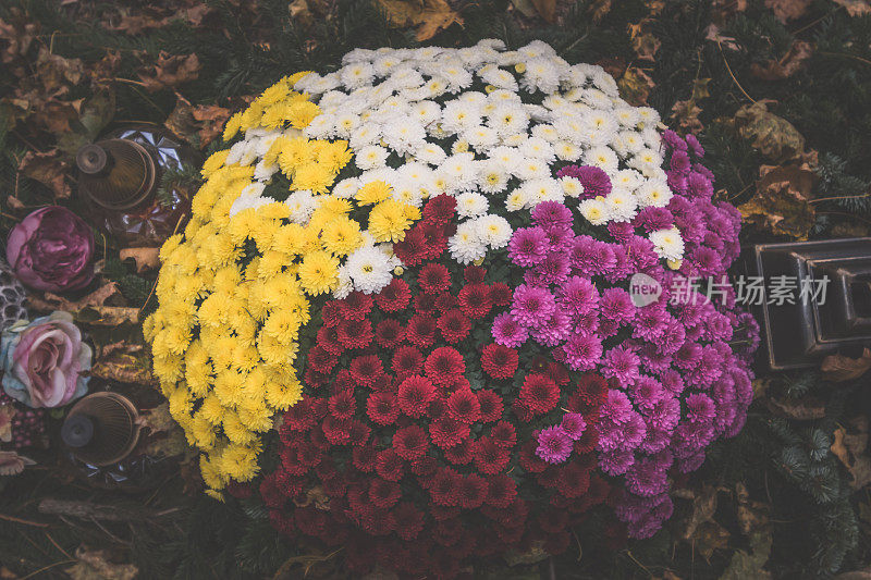 在万圣节期间，一束五颜六色的菊花放在坟墓上