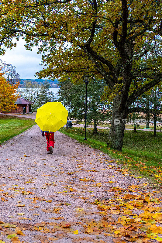 秋天，一个8岁的小女孩走在公园的小路上，手里拿着一把明黄色的伞。后视图。