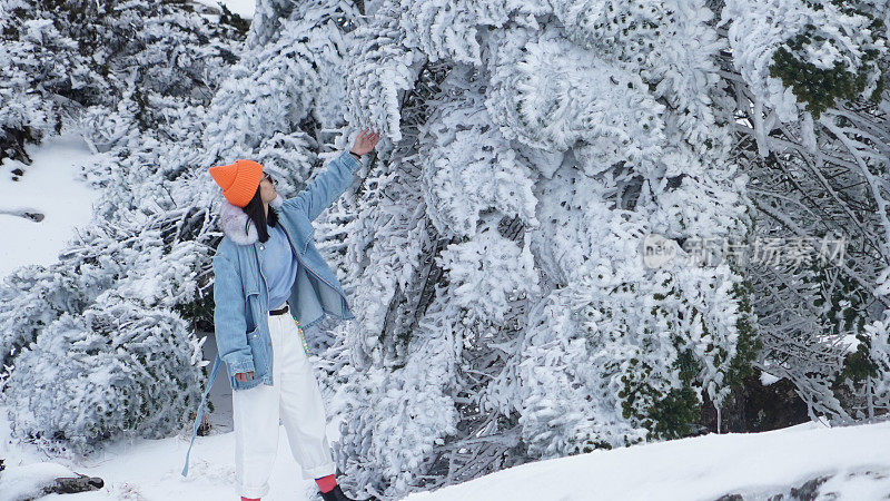 一个女人在寒冷的天气里穿行于白雪覆盖的山林之中