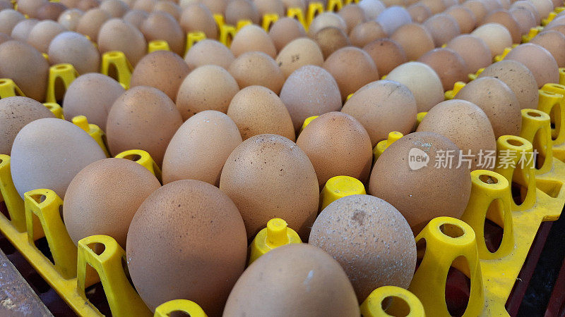 市面上出售的新鲜鸡蛋。