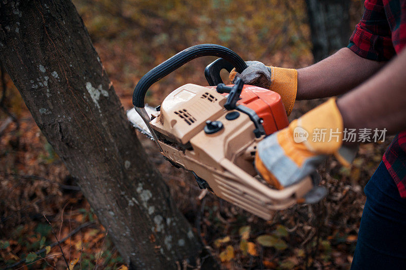 用电锯砍树