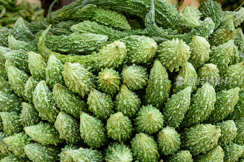 孟买市场上的Karela蔬菜或苦瓜或苦瓜。印度
