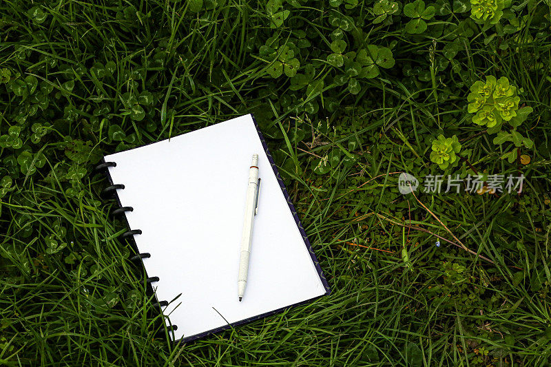 笔记本，笔，自然和做笔记