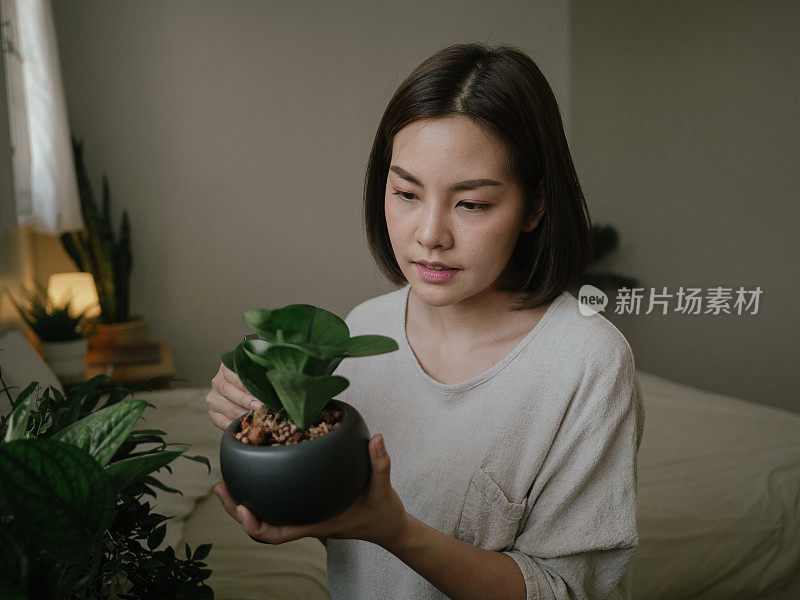 一名年轻女子正在整理仙人掌花盆