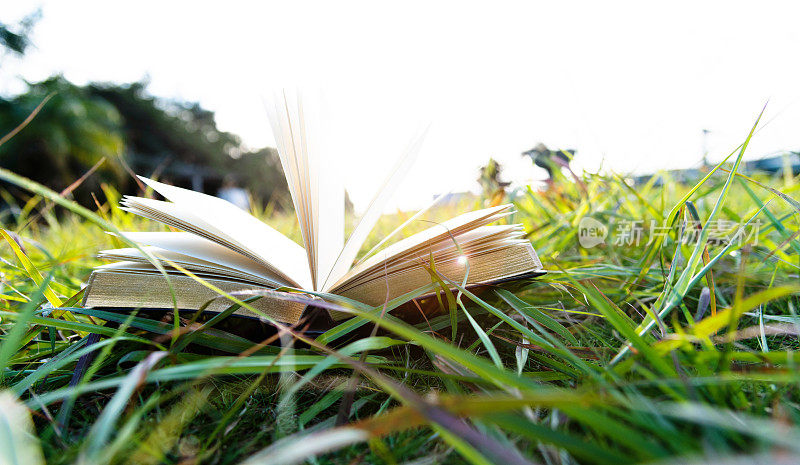在草地上打开书
