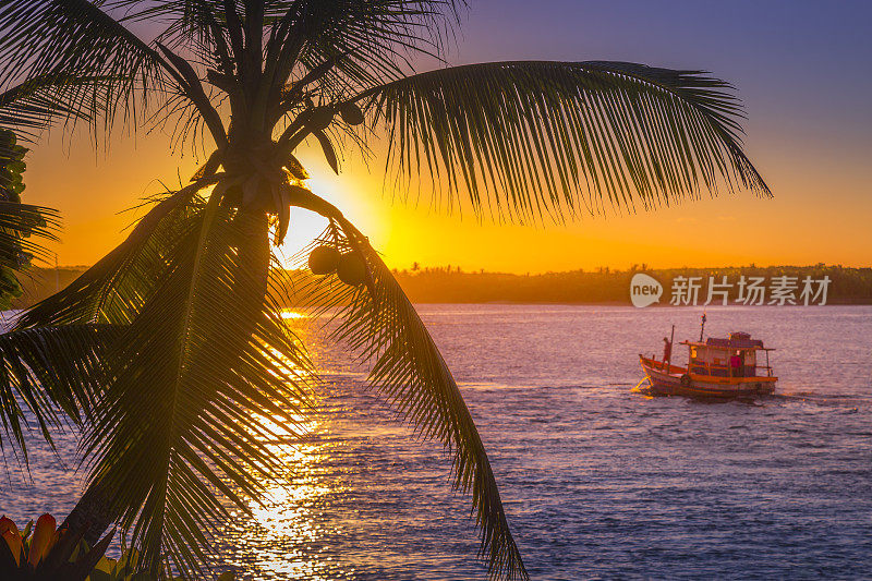 戏剧性的天空在海滩和棕榈树与渔船在巴伊亚，巴西东北部日落