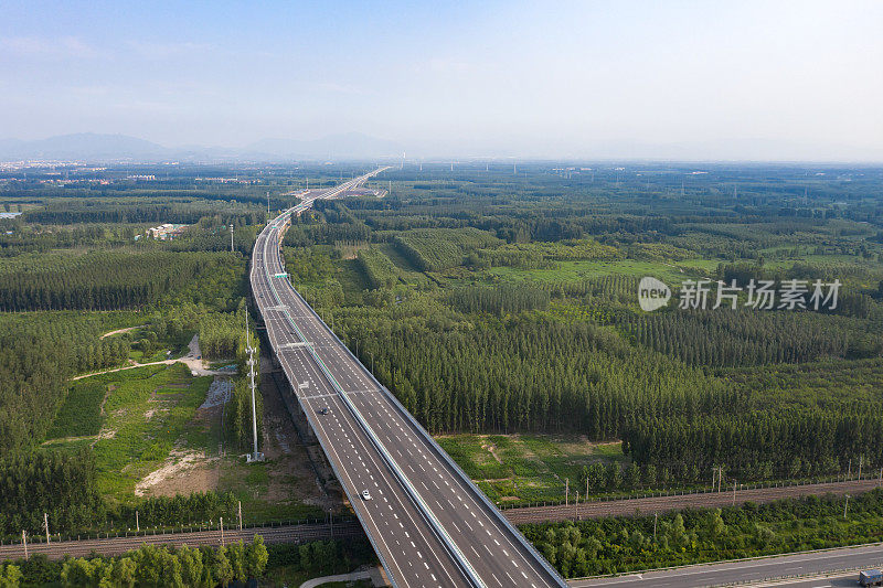 空中高速公路、森林