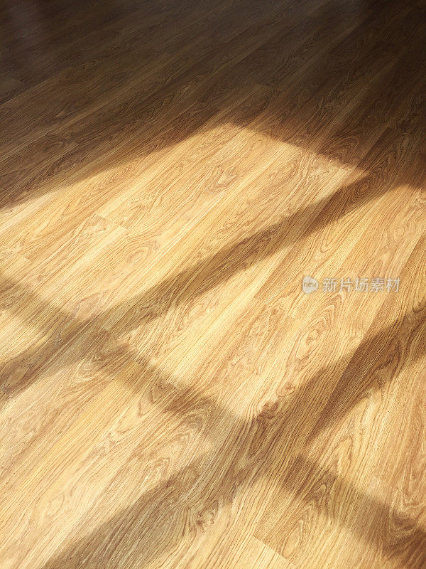 阳光透过窗户在镶木地板上的反射