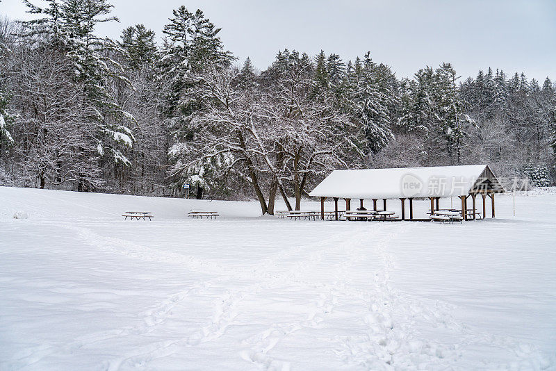 博伊德保护公园的伍德布里奇在冬天，沃恩，加拿大