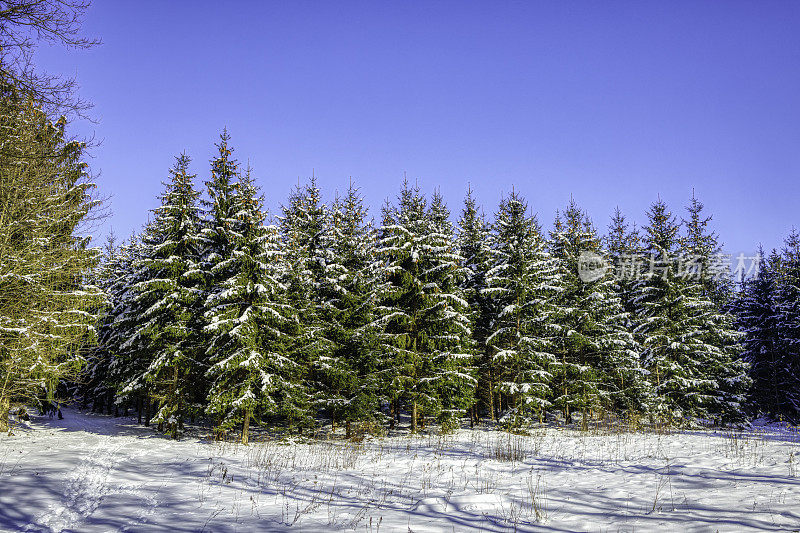 美丽的雪山冬季景观