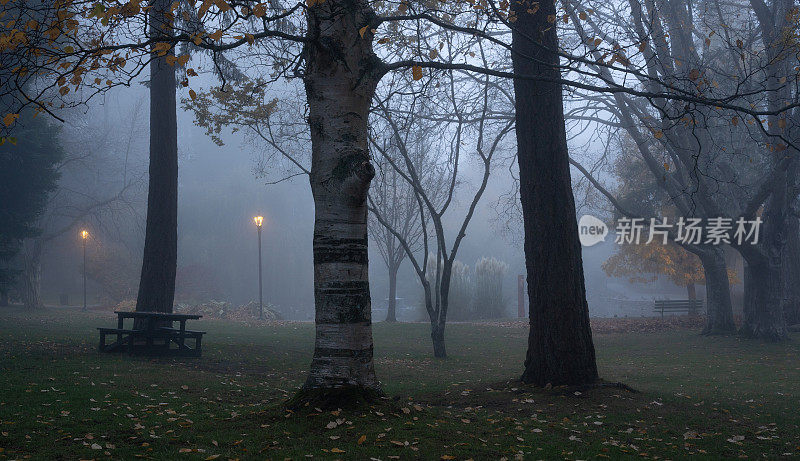 雾中的灯塔山公园