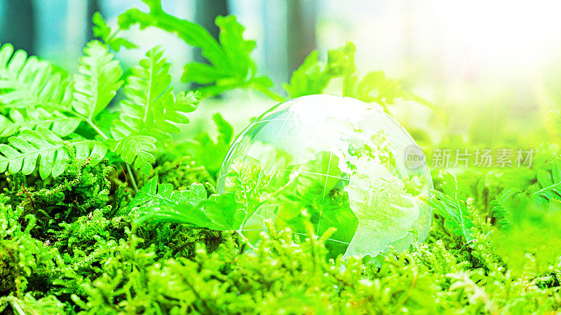 环境的概念。绿色苔藓上的玻璃球。