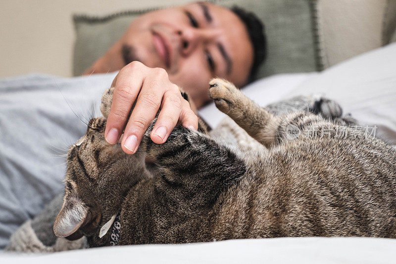 男人躺在床上和猫玩