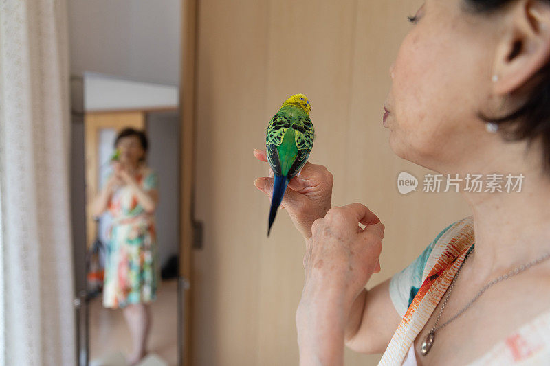 妇女享受打扮在家里与宠物鸟