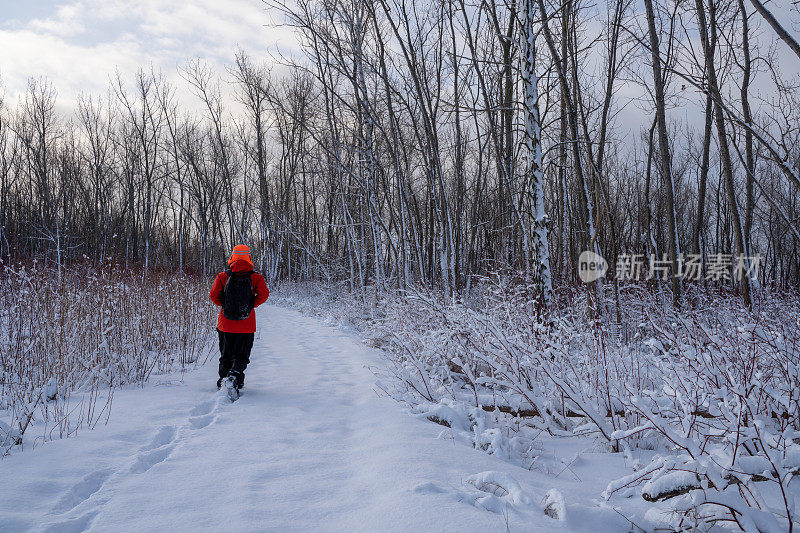 一名游客在加拿大市中心的雪地公园里散步