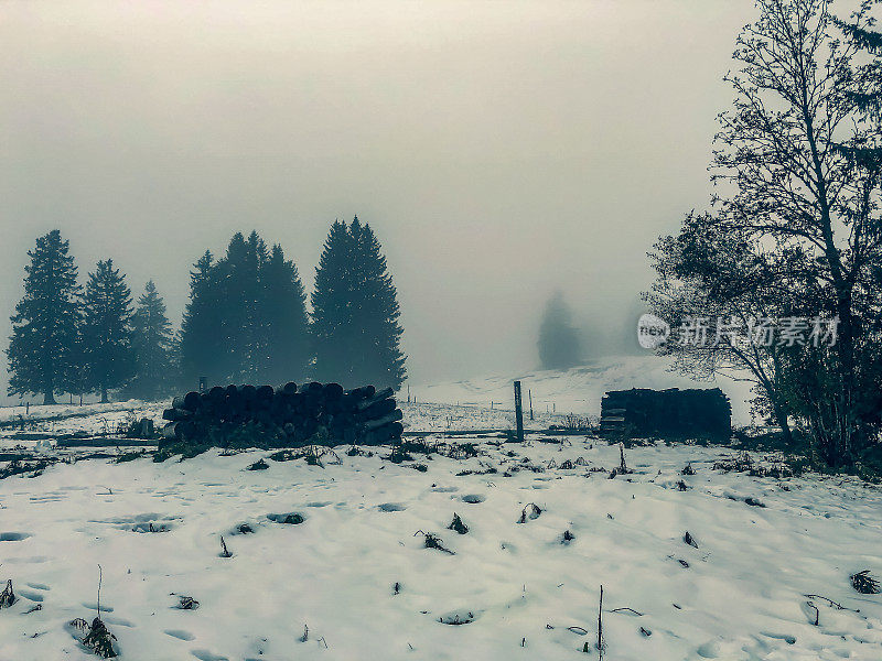 在黑森林的雪中，山上有几棵冷杉。