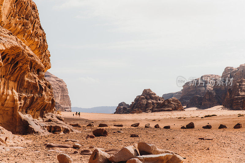 火星土地瓦迪拉姆的骆驼群风景