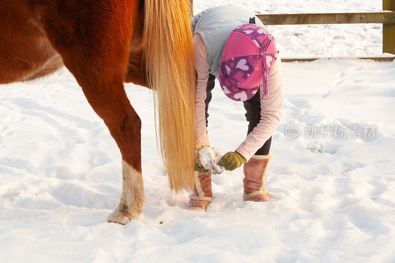 在什罗普郡的乡下，一个冬天，一名年轻女子正试图清除她的栗色矮种马在积雪覆盖的田野里奔跑时蹄子里的积雪。