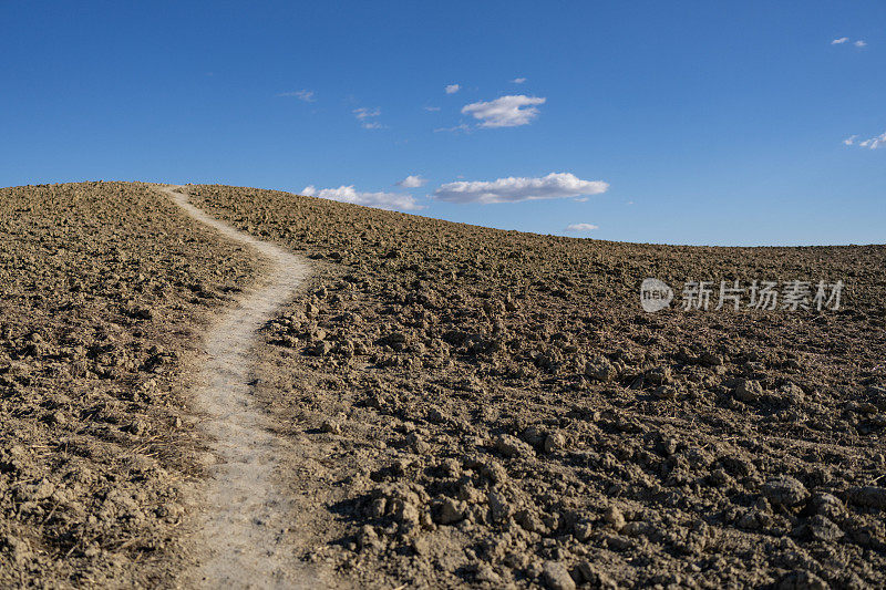 托斯卡纳的风景:标志性的皮恩扎乡村