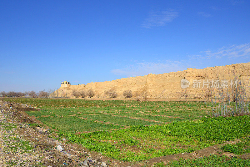 巴尔赫城墙和农田，巴尔赫，巴尔赫省，阿富汗