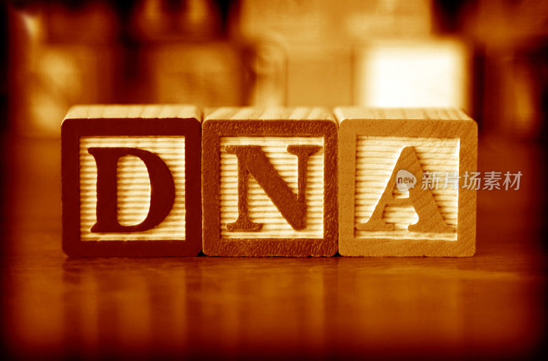 三个木制积木拼出了DNA这个字母