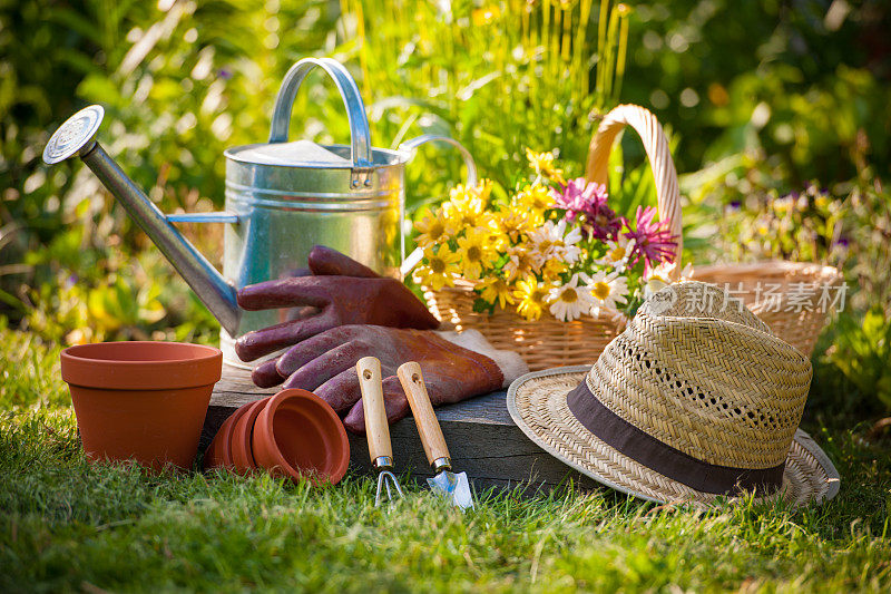 园艺必需品，如洒水器，花盆和手套