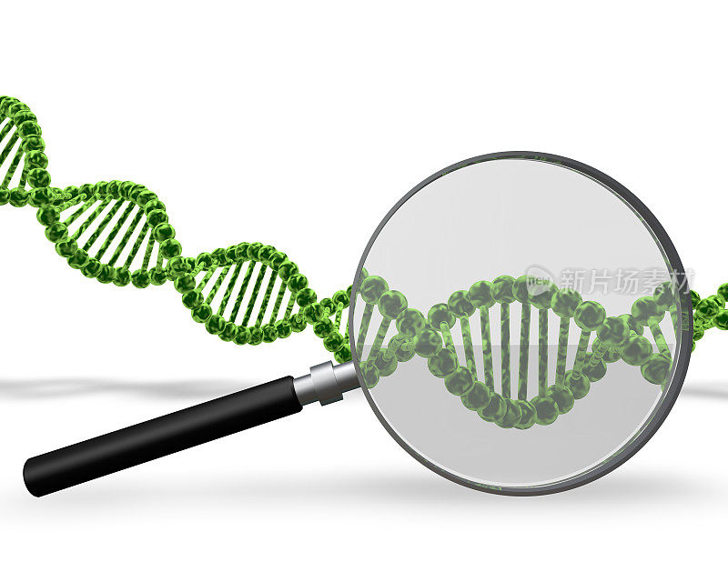 DNA测试概念与DNA链和放大器。