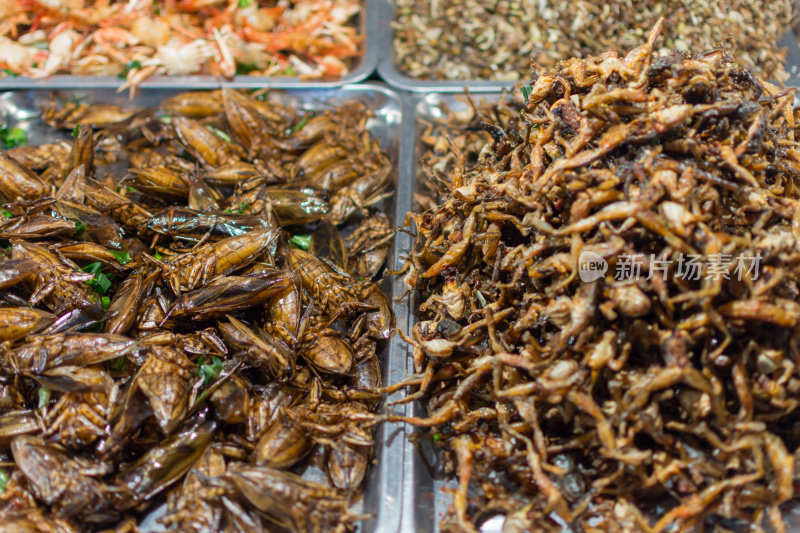 各种油炸昆虫是很容易在泰国街头小吃市场找到的食物