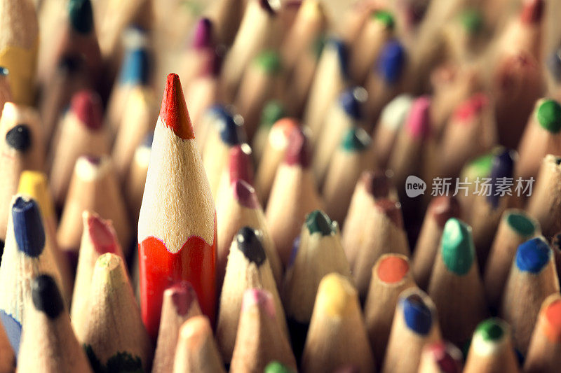 铅笔领导者的概念，在用过的铅笔中敏锐，新想法