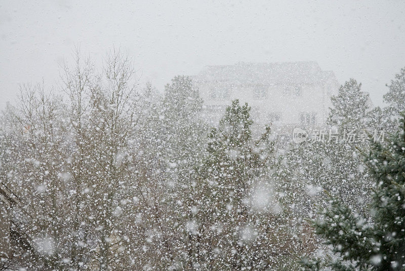 雪在郊区