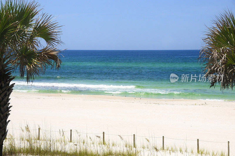 佛罗里达海湾沿岸