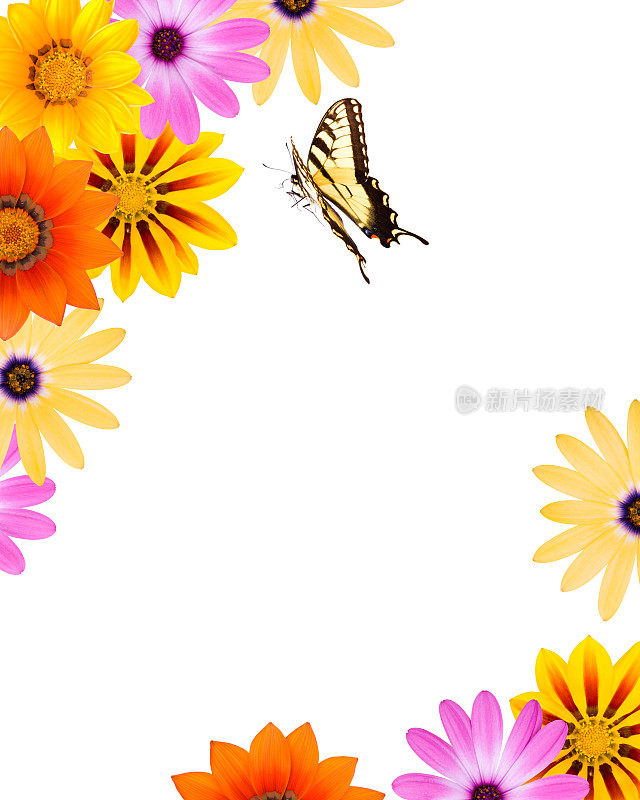 花的边界和一只蝴蝶