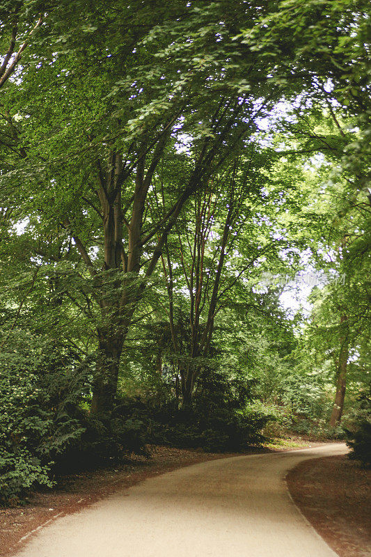 柏林公园Tiergarten