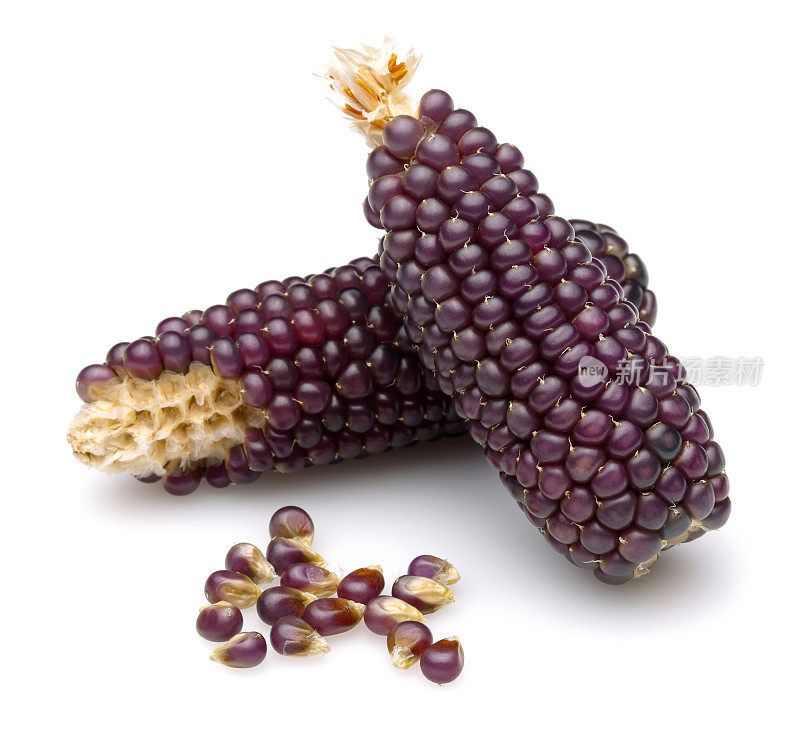 紫色有机玉米