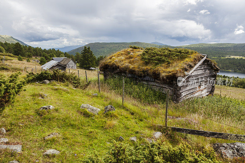 挪威山区田园诗般的传统夏季农场。