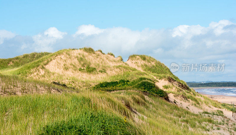 加拿大爱德华王子岛国家公园受保护的沙丘