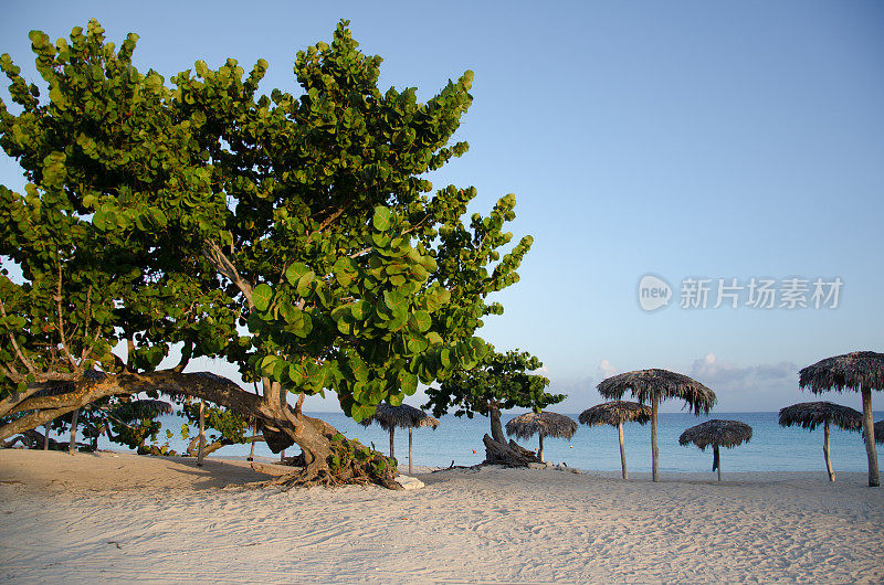 热带古巴海滩与帕拉帕伞