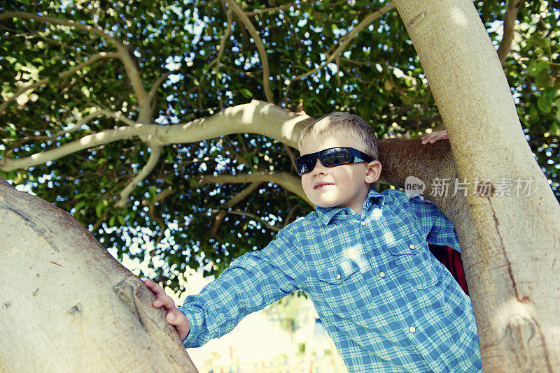 夏天男孩在爬树