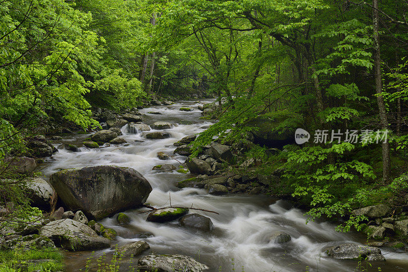 大烟山特里蒙特的小鸽子河