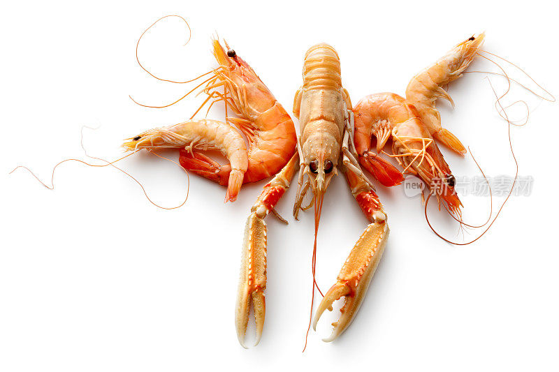 海鲜:海螯虾，对虾和虾孤立在白色背景