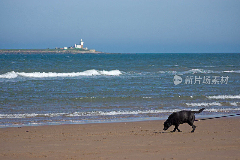 北海的沃克沃斯