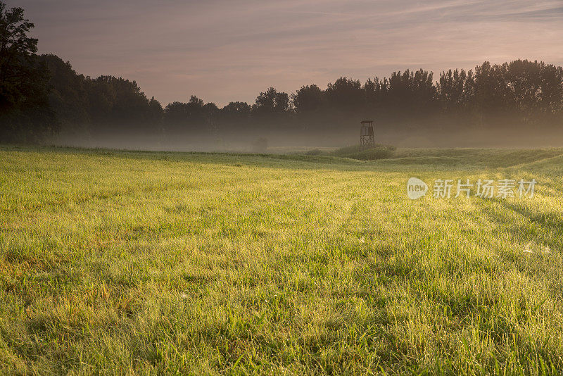 雾霾天气下的草地风景