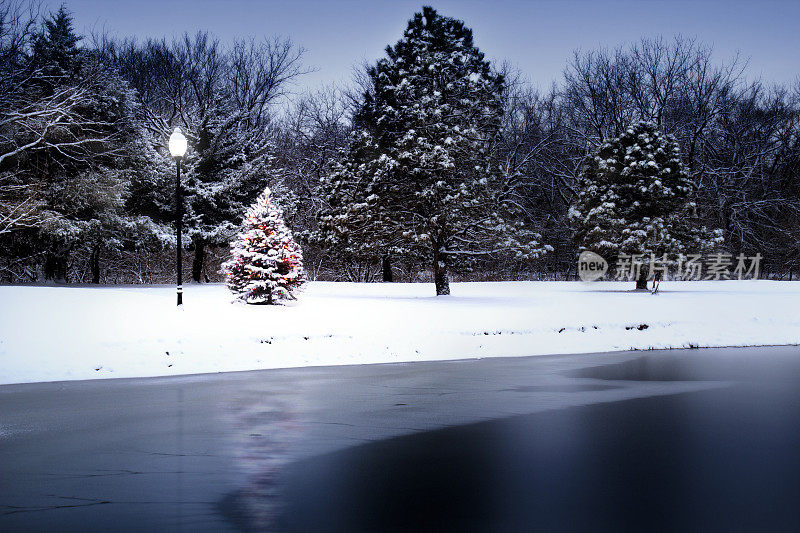 魔法灯照亮白雪覆盖的圣诞树沿湖