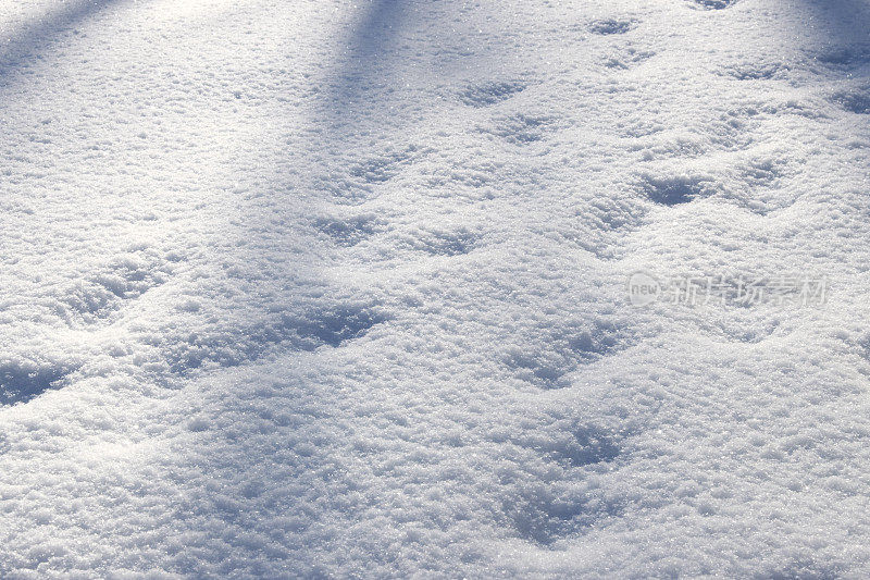 雪纹理