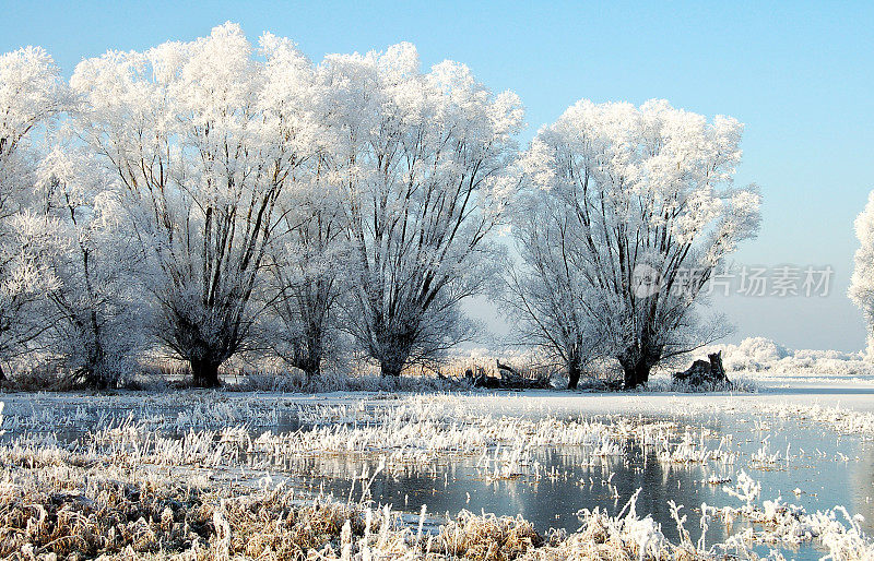 哈韦尔河的冬季景观(德国)