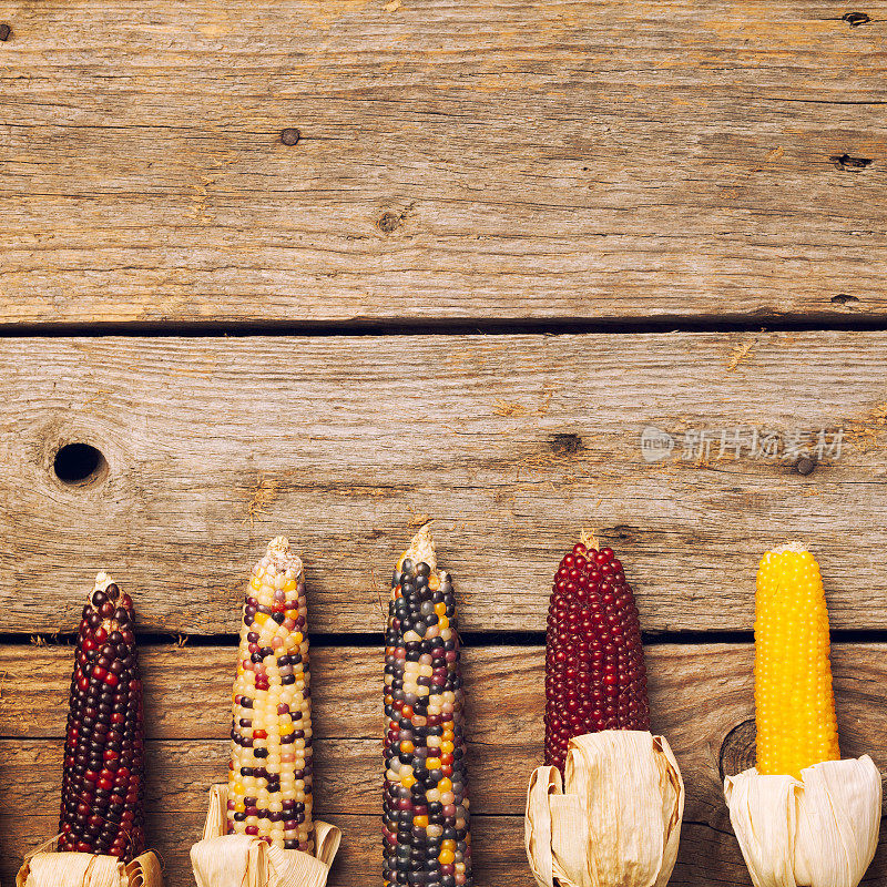 木头上的彩色印第安玉米