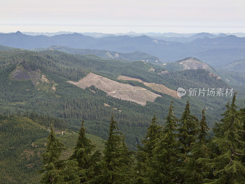 俄勒冈州西部山区森林清晰的削减烟雾地平线烟雾