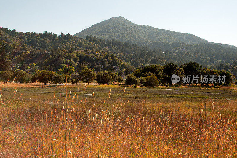 马林县的Tamalpais山