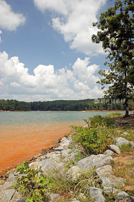 佐治亚州阿拉图纳湖的红粘土水